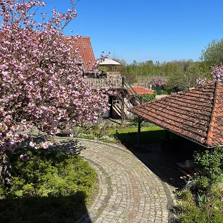 公寓 Ferienwohnung Geppetto 贝利茨