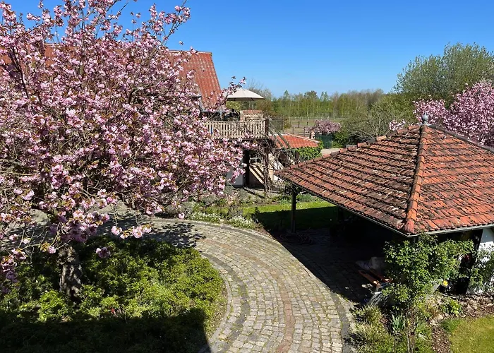 شقة Geppetto بيليتس